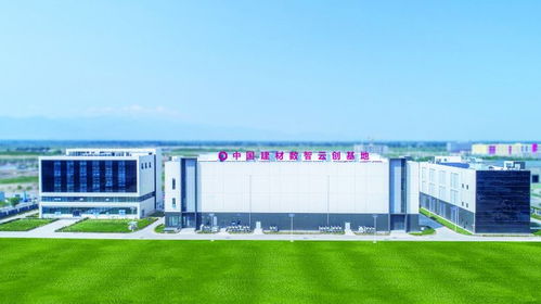 寧夏建材王玉林 以水泥產(chǎn)業(yè)鏈為支撐，推動(dòng)數(shù)字化轉(zhuǎn)型升級
